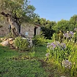 Maison Type Bergerie Proche Porto-vecchio 维琪奥港