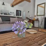 别墅 Maison Type Bergerie Proche Porto-vecchio 维琪奥港
