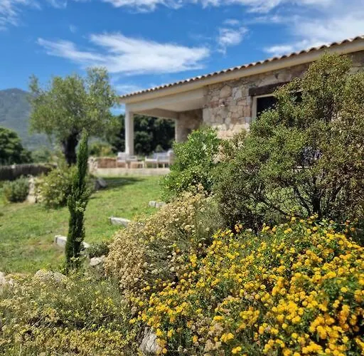 Maison Type Bergerie Proche Porto-vecchio Villa *