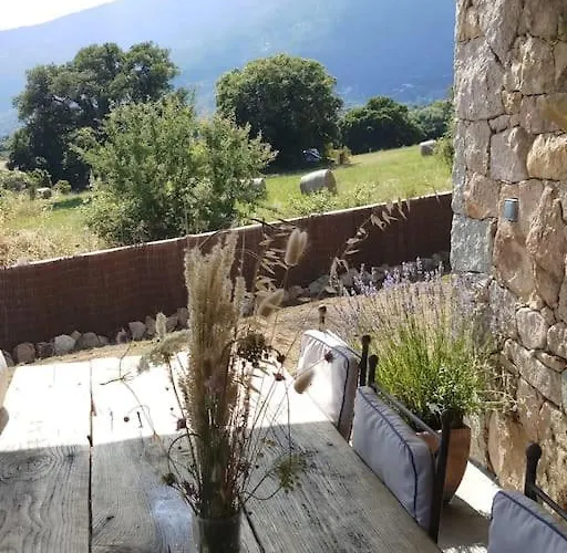 Maison Type Bergerie Proche Porto-vecchio Villa