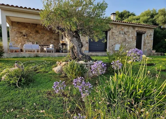 Maison Type Bergerie Proche Porto-vecchio *